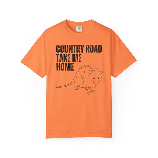 Country Road Take Me Home